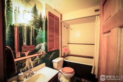 6492 County Rd 80c, Red Feather Lakes CO 80536-9201 exterior