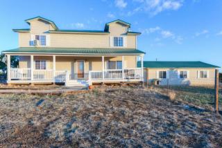 88 Buffalo Dr, Farisita, CO 81089-8500