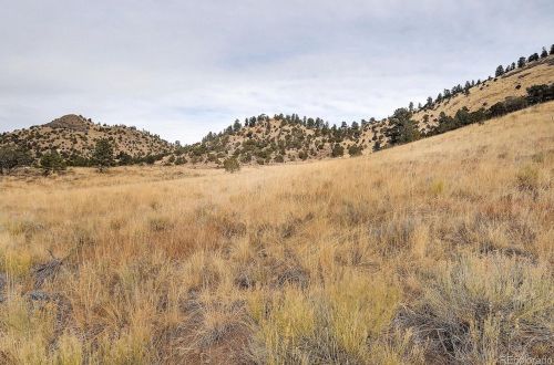 75 Mistletoe Way, Horn Creek, CO 81252-9011