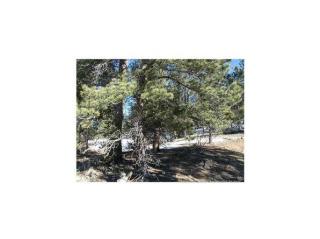 196 Eagle Rock Rd, Fairplay, CO 80456-9748