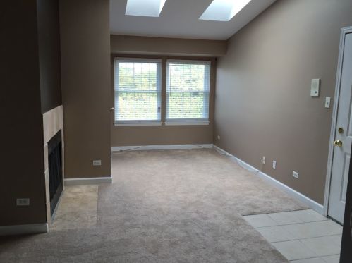1403 Wyndham Cir, Palatine, IL 60074-7962