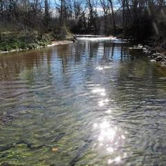 11299 Pettis Ln, Plato, MO 65552-8831