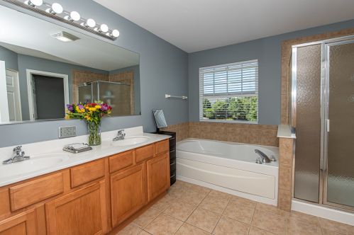 10 Covington Ct, Lemont IL  60490-4924 exterior