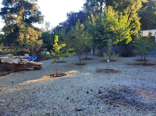 937 Pauline Ave, Modesto, CA 95358-8352
