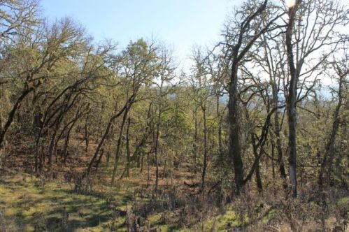 436 Crestview Ct, Sutherlin, OR 97479-9339