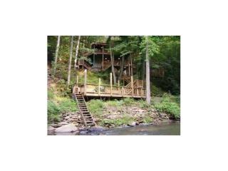 102 Indian Ln, Ellijay, GA 30540-5392