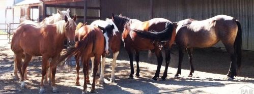 706 Avondale Blvd, Avondale CO 81022-8702 exterior