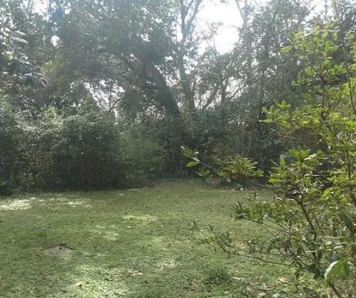 440 Hagood Ave, Barnwell, SC 29812-1835