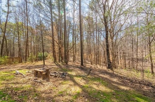 317 Allatoona Shores Dr, Holly Springs GA  30114-8598 exterior