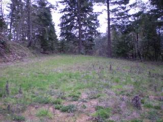 1500 Bar L Ranch Rd, Glide, OR 97443-9771