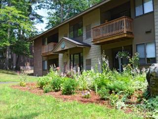 1 Hampshire Dr, Nashua NH  03063-1934 exterior