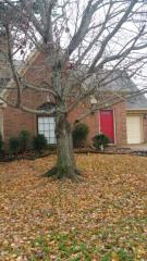 8329 Twin Rivers Dr, Cordova, TN 38016-6019