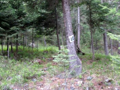 10 Tamarack Ln, Lostine OR  97857 exterior