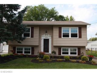 1204 Lloyd Ave, Aurora OH  44202-9572 exterior