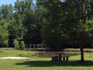 2226 Ardoch Rd, Townsend, GA 31331-6022