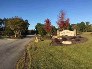 305 Rocky Meadow Dr, Gilbert, SC 29054-8455