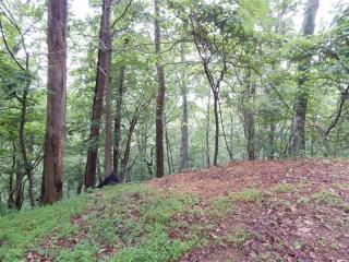 2881 Sunrise Ter, Big Canoe, GA 30143
