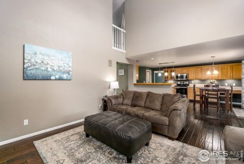 513 Idalia Ct, Fort Collins CO  80525-7011 exterior
