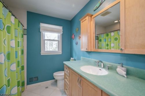 119 Shady Ln, Dover NJ  07869-4828 exterior