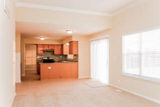 1402 Fieldside Ln, North Aurora IL  60542-8928 exterior
