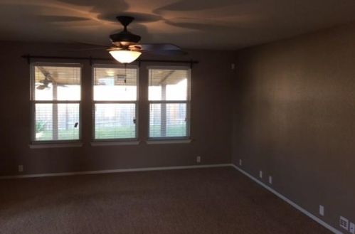 293 Camelia Pkwy, Uhland TX  78640-5957 exterior