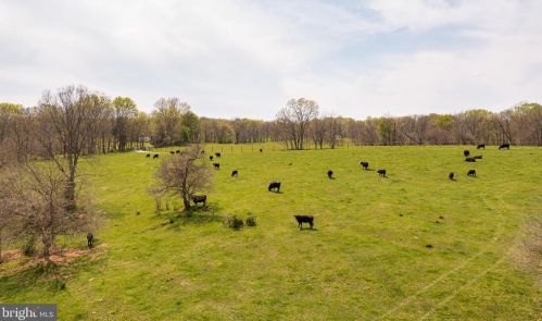565 Vance Rd, Shepherdstown, WV 25443-5125