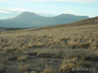 261 Bridle Path, Hartsel, CO 80449-8527