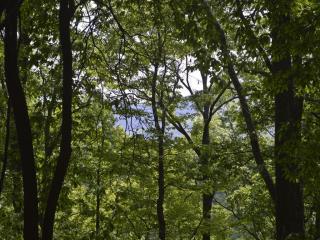 938 Long Branch Rd, Swannanoa, NC 28778-3527