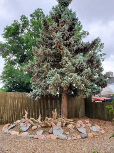 3281 Crawford Dr, Canon City CO  81212-9372 exterior