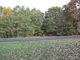 13 Grace Ln, Edwards, IL 61528