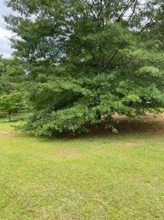 2273 Morrison Rd, Conyers GA  30094-3305 exterior