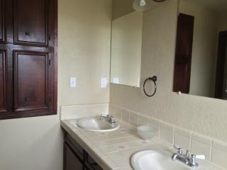 13808 Abrahamson Ct, Webberville, TX 78653-3819
