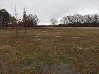1139 Windy City Rd, Three Way, TN 38343-8407