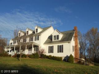 497 Kinsky Ln, Mount Weather, VA 22611-4063