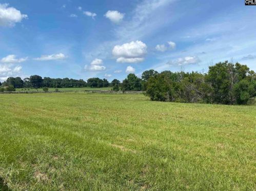 1497 Spring Hill Rd, Red Hill, SC 29020-8871