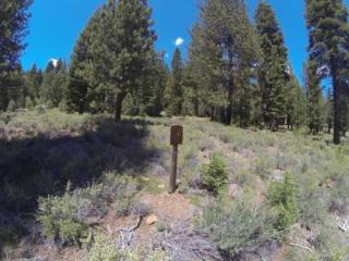 11122 China Camp Rd, Truckee, CA