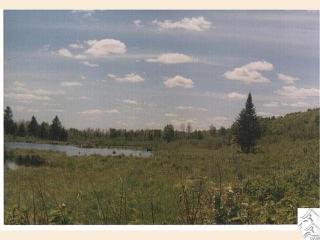 301 Zeke Rd, Schroeder, MN 55613-8710