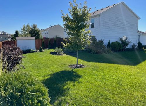585 Vine St, Pingree Grove, IL 60140-5621