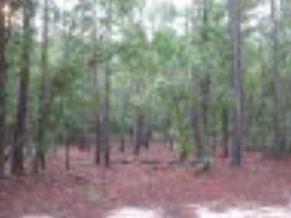 2 Foxfire Ln, Wedgefield, SC 29168-9726