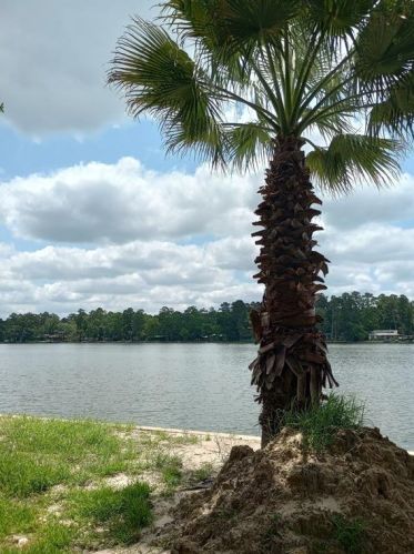 13545 Northshore Loop, Conroe TX  77304-5238 exterior