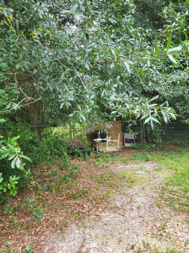 204 Jordan St, Ogelthorpe, GA 31068-9526