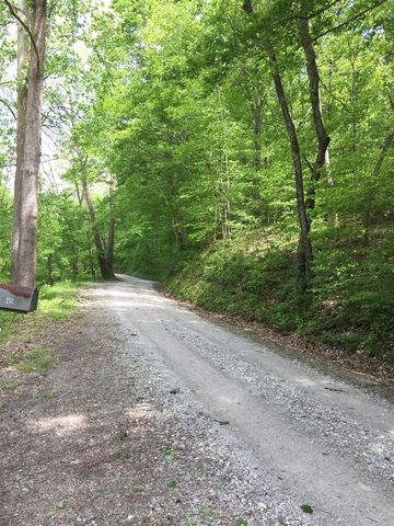 49 Hayes Rd, Vanleer, TN 37181-6060