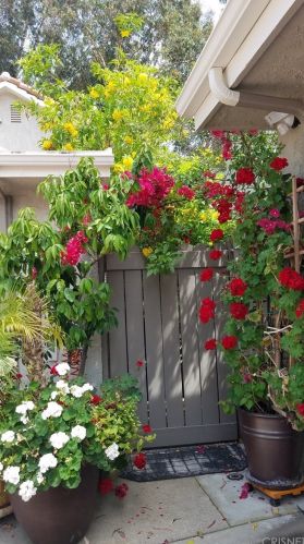 942 Thistlegate Rd, Calabasas, CA 91377-3916