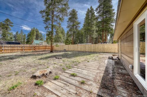 909 Diamond St, Leadville CO 80461-3703 exterior