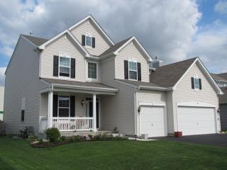 179 Reston Ln, Gilberts, IL 60136-8016