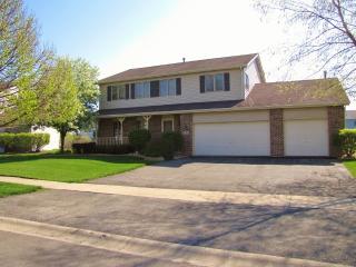 410 Beaver Ct, Oswego, IL 60543-8655