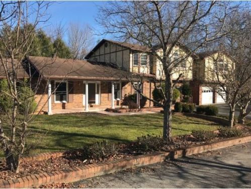 173 Ricks Ln, Honeycamp, VA 24228-7125