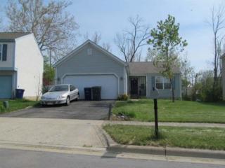 3126 Jetstream Dr, Columbus, OH 43231-8802