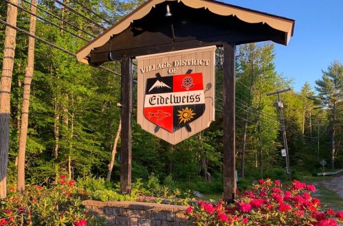 2 Grachen Dr, Madison, NH 03849-5646