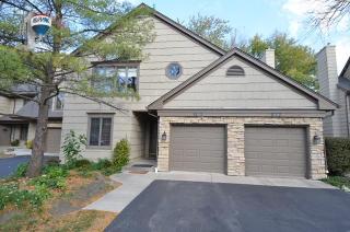 1120 Foxtail Ct, Oak Brook, IL 60561-3884